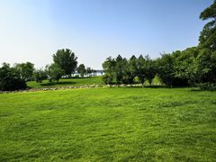 -瑶湖郊野森林公园