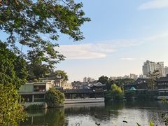 -荔湾湖公园