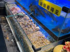 -苏格里岛自助海鲜烤肉(青秀万达店)