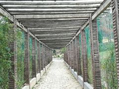 -黄陂区野村谷景区