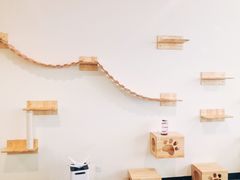 大堂-喵匠猫主题咖啡(凯德和平广场店)