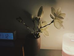 -谷悦SPA(王府井店)