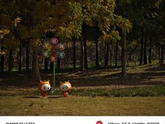 -上海长兴岛郊野公园