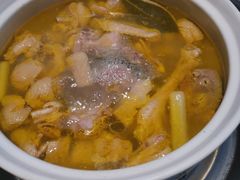 -先机泉水鸡汤(南山老君洞店)