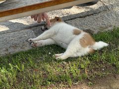-浙江农林大学(东湖校区)