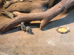 -苏州海洋馆