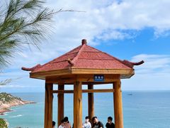 -广东惠东海龟国家级自然保护区