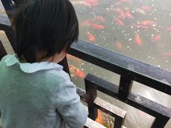 -文瀛公园