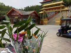-广州莲花山旅游区