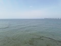 -星海湾跨海大桥