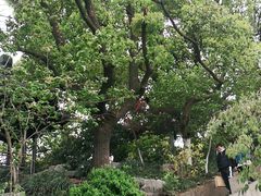 -鼓楼(西湖风景名胜区)