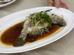 -轩记海鲜餐厅·四十五年老字号·经典粤菜(西区彩虹店)