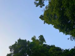 -张坝桂圆林公园