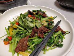 -广东道至正餐厅(区庄店)