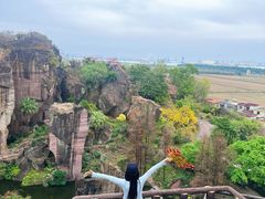 -广州莲花山旅游区