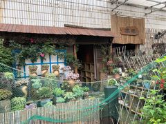 -桂林市花鸟市场