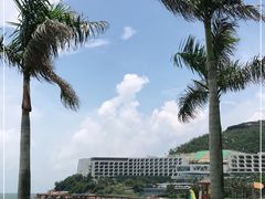 -东澳岛