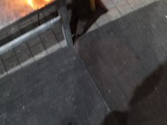 -百味源炭火烤翅 ·夜市大排档(酒仙桥店)