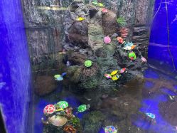 点击看大图 -宝燕乐园(闵行旗舰店)