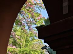 -西双版纳傣族园