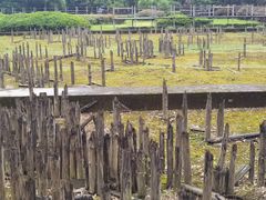-河姆渡遗址博物馆
