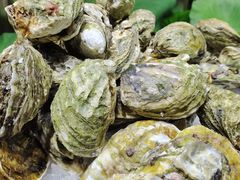 -星伦多自助料理(爱琴海店)