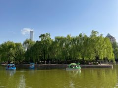 -团结湖公园
