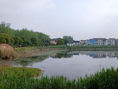 -渌洋湖湿地公园