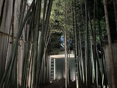 -穹六人间 people 6(岳阳路店)