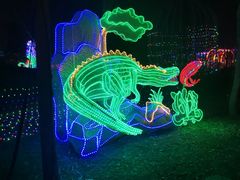 -南宫五洲植物乐园