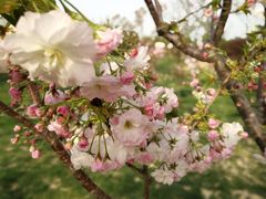 -古柏渡飞黄旅游区