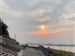 -上海滨江森林公园