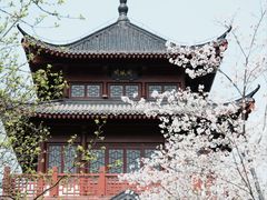 -堤角公园