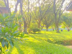 -番禺大夫山森林公园