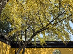 -西园戒幢律寺