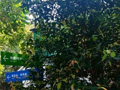 -火炉山森林公园