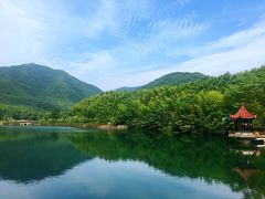 -鑫福楼农家菜