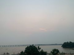 -宝安西湾红树林湿地公园