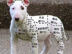 -亲爱的锅包YOU(国金街店)