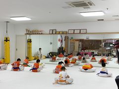 -极真空手道疾风道场(虹口凉城店)