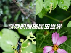 -舟山嵊泗列岛风景名胜区