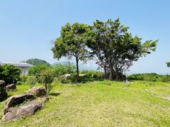 -福建鲤鱼洲酒店