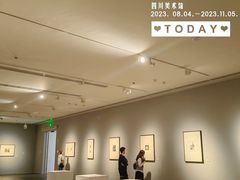 -四川美术馆