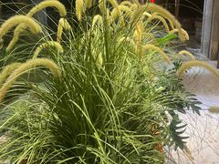 -浣溪沙富硒温泉