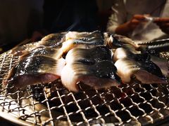 -吉力烤鳗