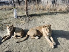 -北京野生动物园