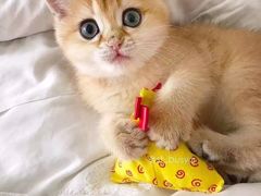 -密友回转自助火锅(世茂国际广场店)