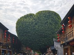 -三坊七巷历史文化街区