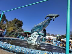 -海合安武汉极地海洋公园