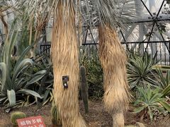 -北京植物园-展览温室